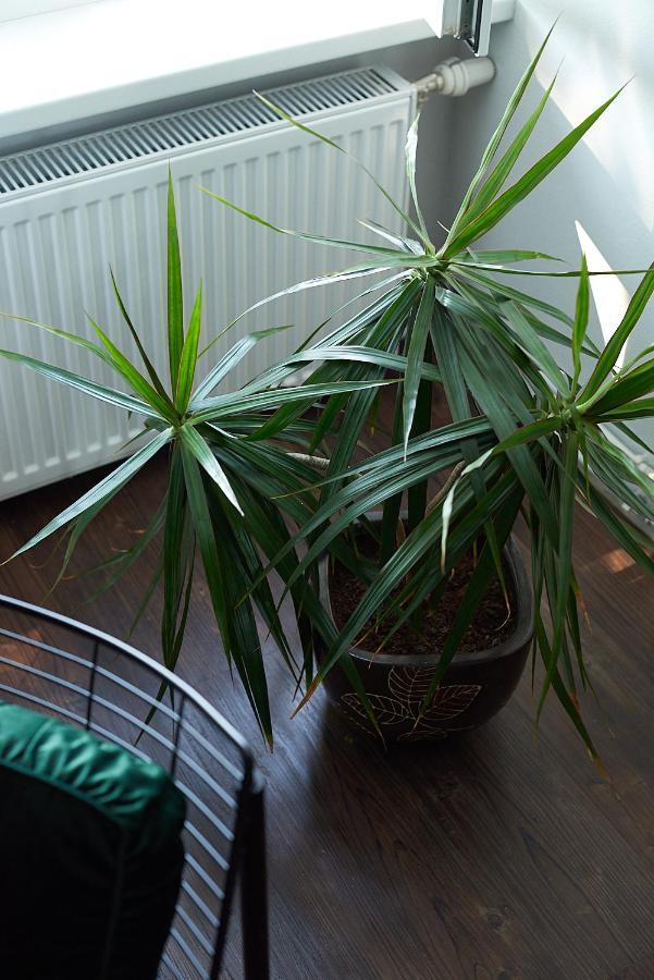 Greenhouse Apartments Jurmala Luaran gambar
